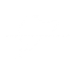 logo-dm-performance-white